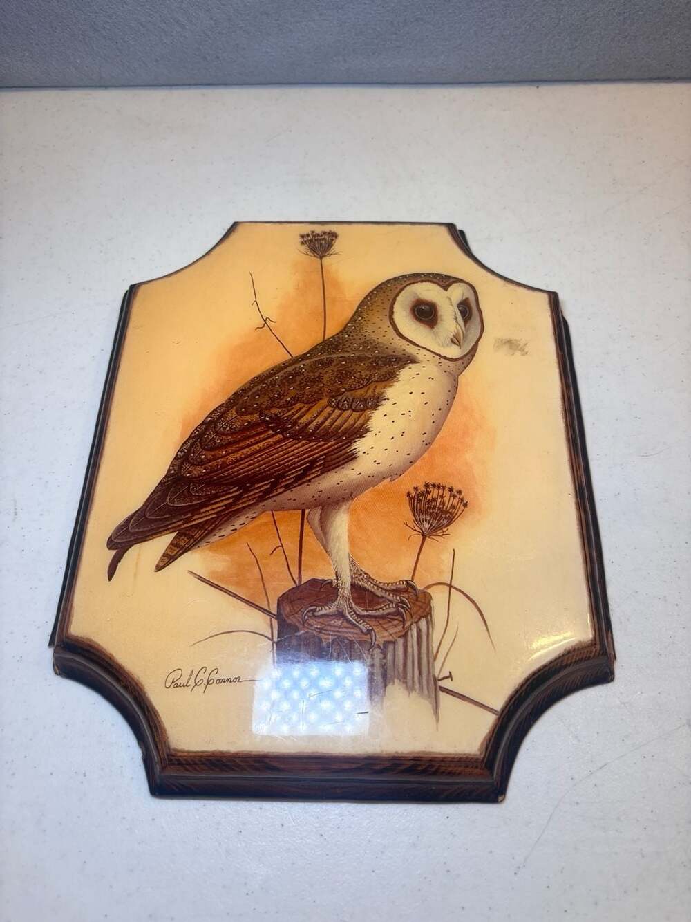 Charlie's Crafts Vintage Barn Owl Wood Wall Art Plaque Decoupage Paul C. Connor